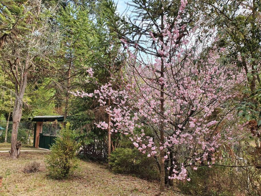 Casa Da Nanna Campos Villa Campos do Jordao Luaran gambar